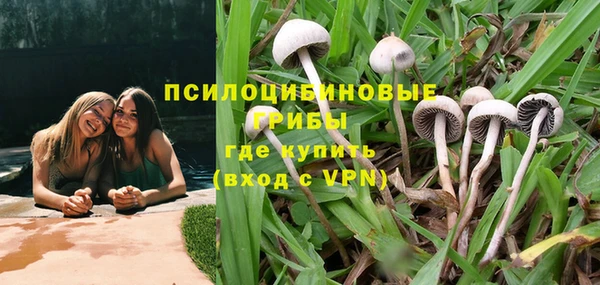 синтетический гашиш Богородицк